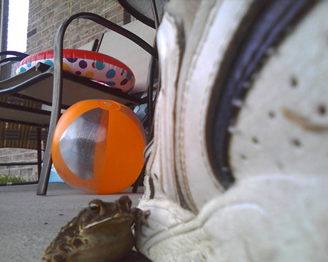"Wait a minute," he thinks, "Did you just take my photo? Look, man: This is my shoe."