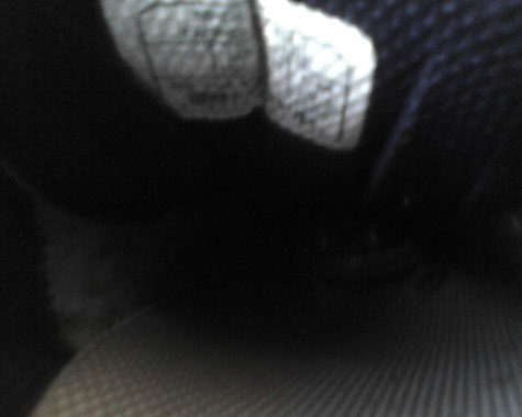 "That's what I'm talking about. A nice sleep in my shoe home. Zzzzz..."