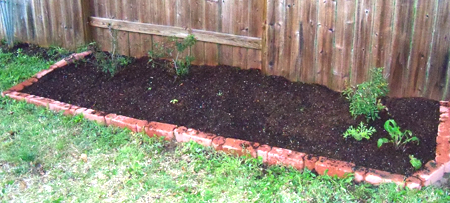 My backyard flower bed, after I pulled out all the winter weeds and primed it with some "landscape mix" I got at RCW Nursery.