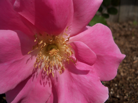 I love this close-up shot.