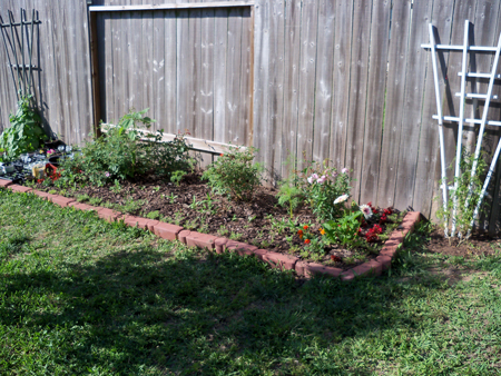 Here's a shot from yesterday of my original bed. Lots of growth to note, and a trellis was saved from the curbside on trash day - thanks to Kim. More on that later, I'm sure. 