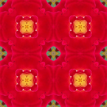 The first pattern I created with Repper Lite.