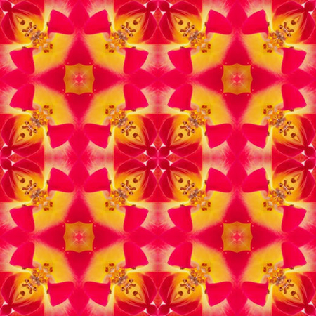 The last pattern. Which one is your favorite?
