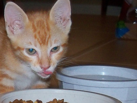 One of the first shots I took of Daphne.